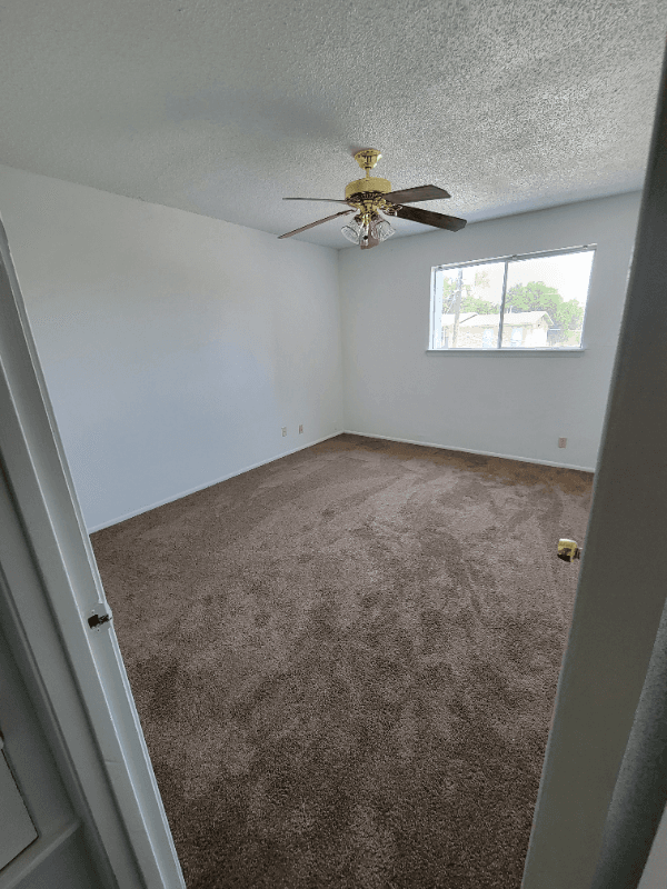 San Antonio Multiplex: 207 Sprucewood