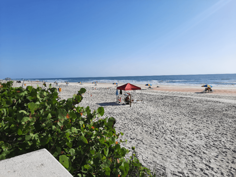 Daytona  Beach Apartment: 512 Phoenix Ave, Daytona Beach FL