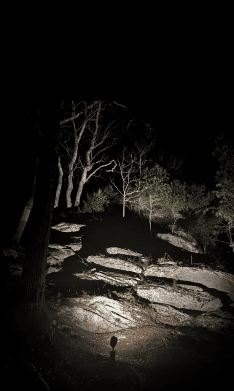 Hendersonville House: 121 Cub Run