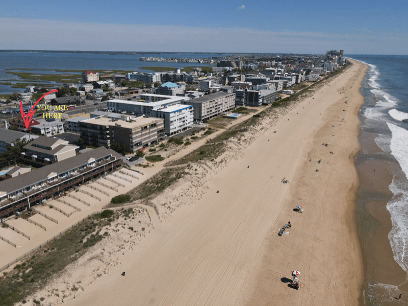 Ocean City Apartment: 7200 Coastal Hwy