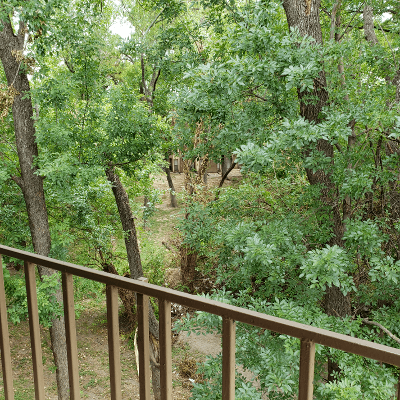 Dallas House: 6050 Melody Ln