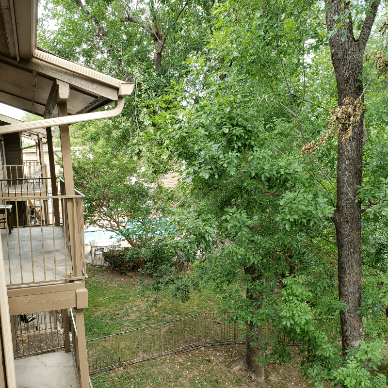Dallas House: 6050 Melody Ln