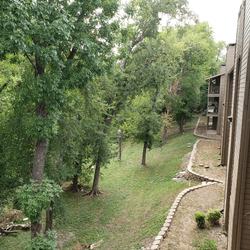 Dallas House: 6050 Melody Ln
