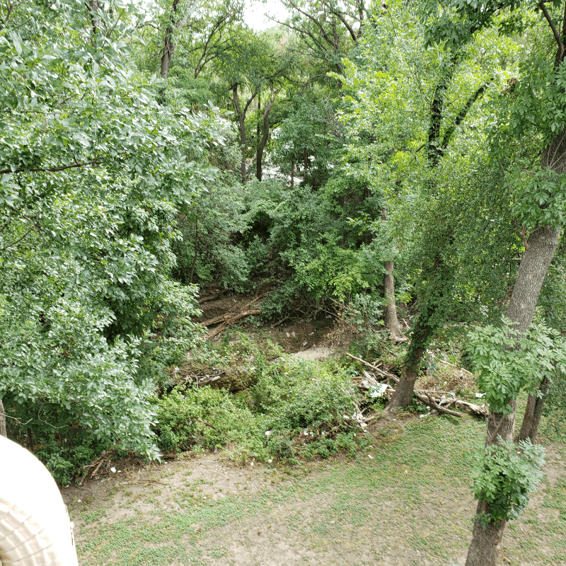 Dallas House: 6050 Melody Ln