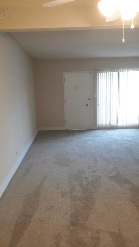Sherman Oaks Apartment: 4450 Murietta Ave