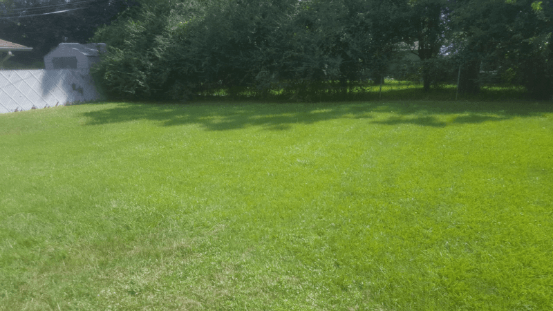 Shreveport House: 4917 Durham