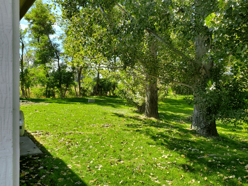 NAMPA House: 16823 WATERFORD WAY