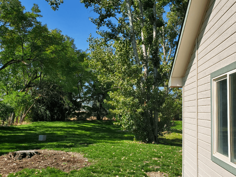 NAMPA House: 16823 WATERFORD WAY