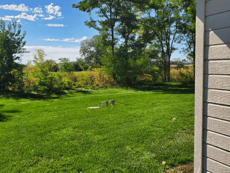 NAMPA House: 16823 WATERFORD WAY