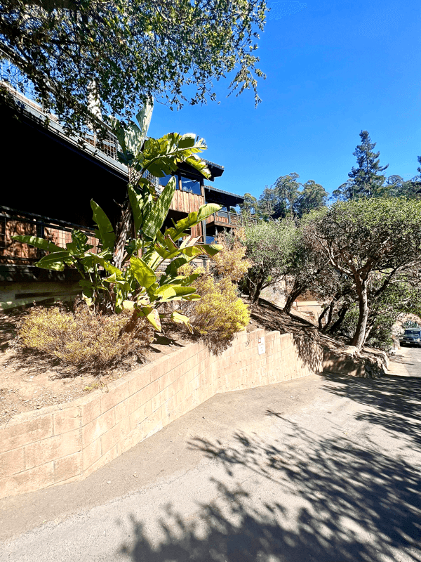 Berkeley Apartment: 10 Maybeck Twin Dr