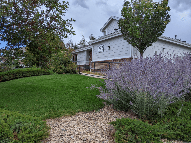 Arvada Townhome: 10336 W 55th Pl