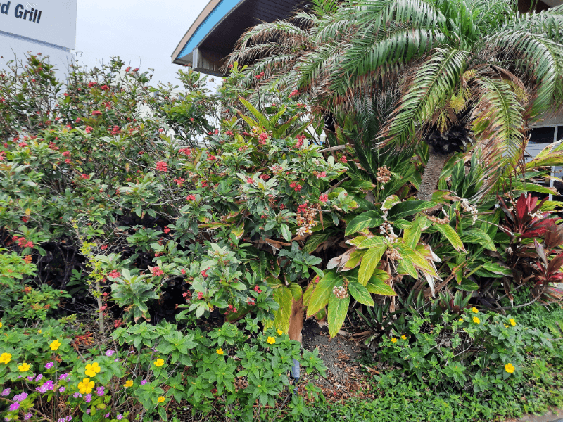 Daytona  Beach Apartment: 512 Phoenix Ave, Daytona Beach FL
