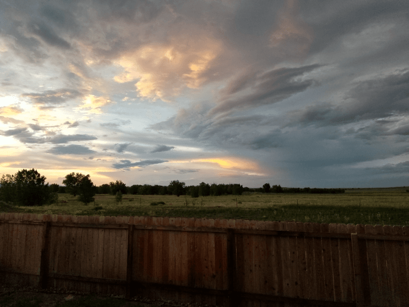 Colorado Springs House: 9898 Silver Stirrup Drive
