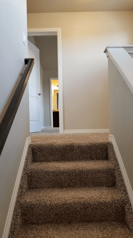 Colorado Springs House: 9898 Silver Stirrup Drive