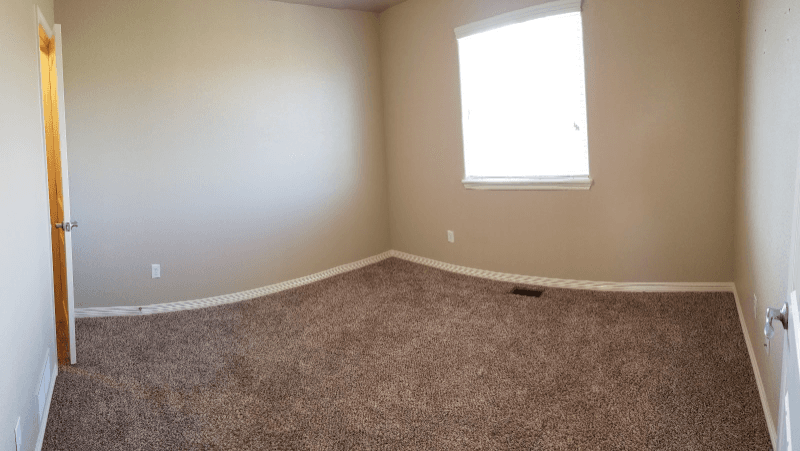Colorado Springs House: 9898 Silver Stirrup Drive