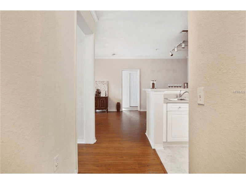 Tampa Apartment: 18001 Richmond Place Dr