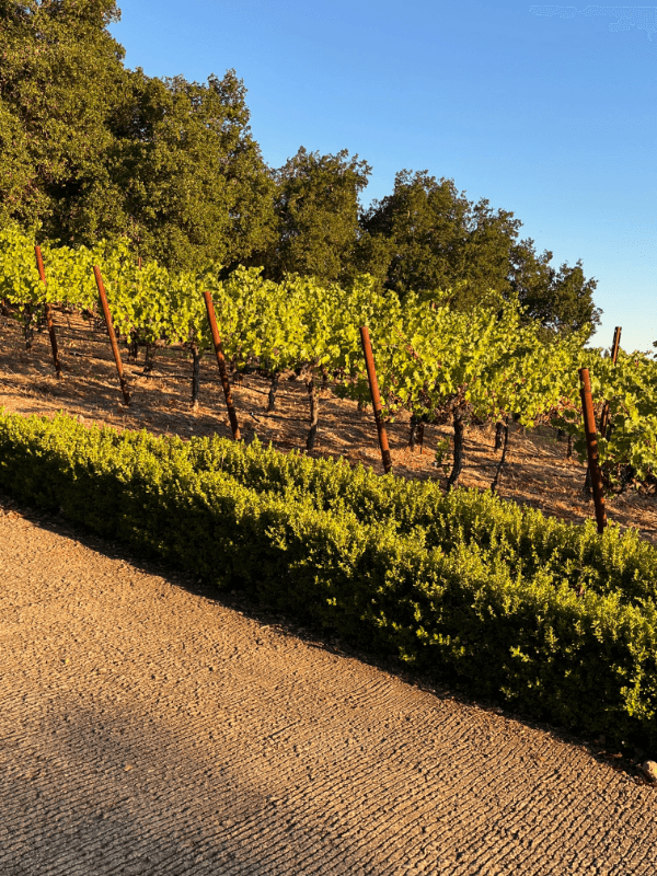 Healdsburg Other: 8330 Chalk Hill Rd