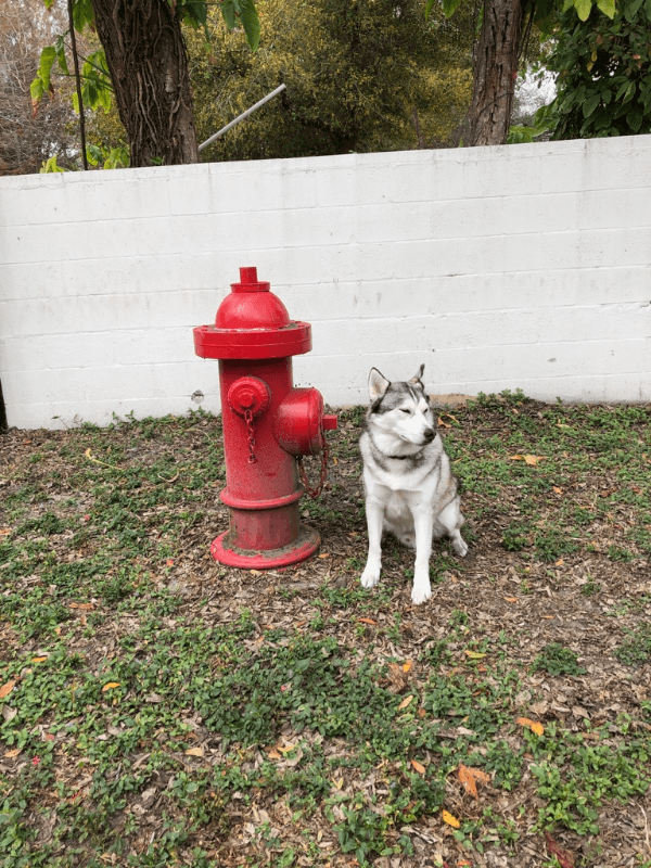 Tampa Apartment: 115 S Lois Ave, #122