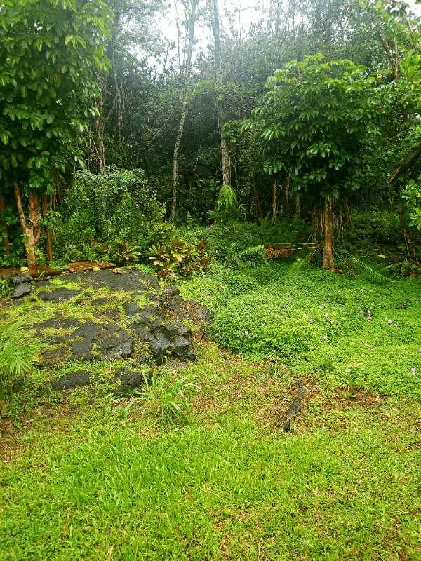 Pahoa House: 15-2745 Kahala Street
