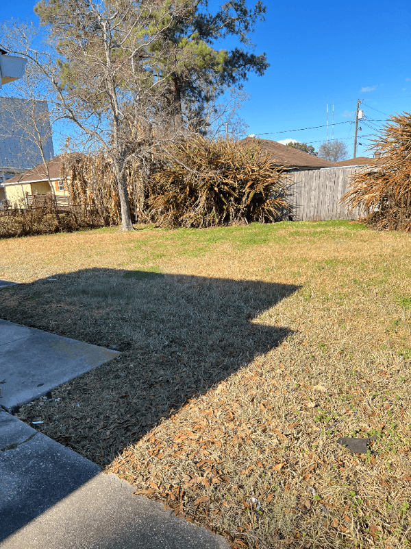 Chalmette House: 1209 Michigan St