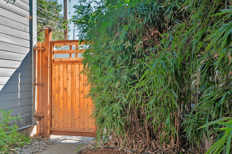 Ashland House: 673 Siskiyou