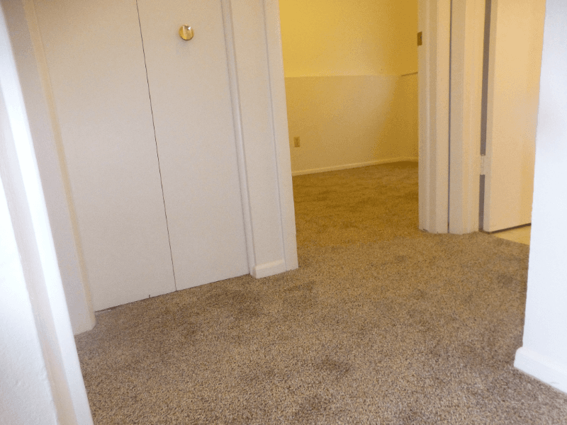 Colorado Springs Multiplex: 1062 Westmoreland Road