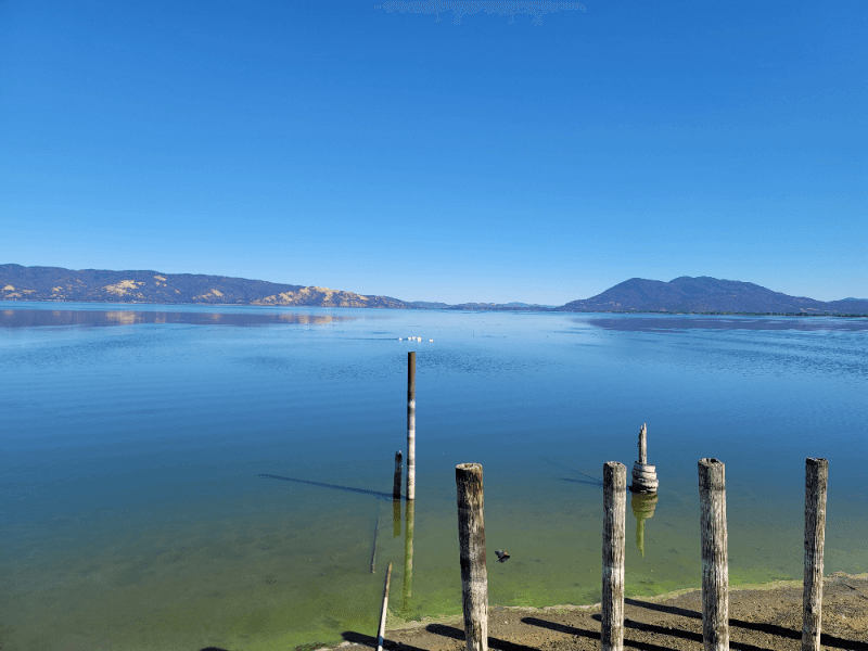 Lakeport Apartment: 2802 Lakeshore Blvd.