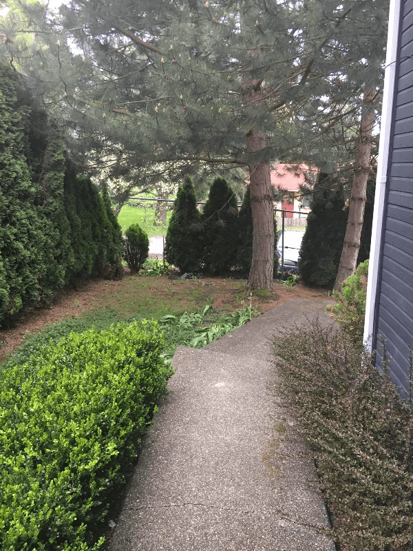 Seattle Other: 8408 22nd Ave, Seattle WA