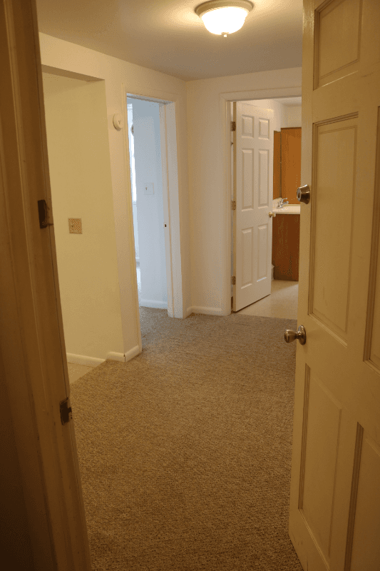 Albany Apartment: 241 Elm Street