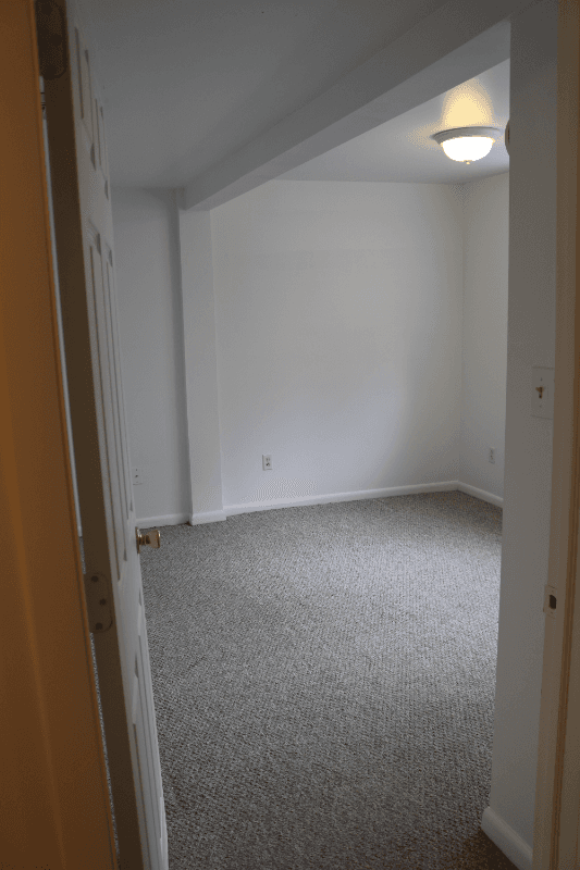 Albany Apartment: 241 Elm Street
