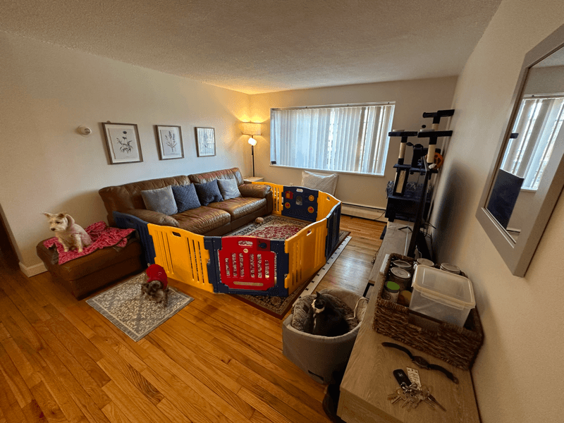 Brighton Condo: 276 Corey Rd,