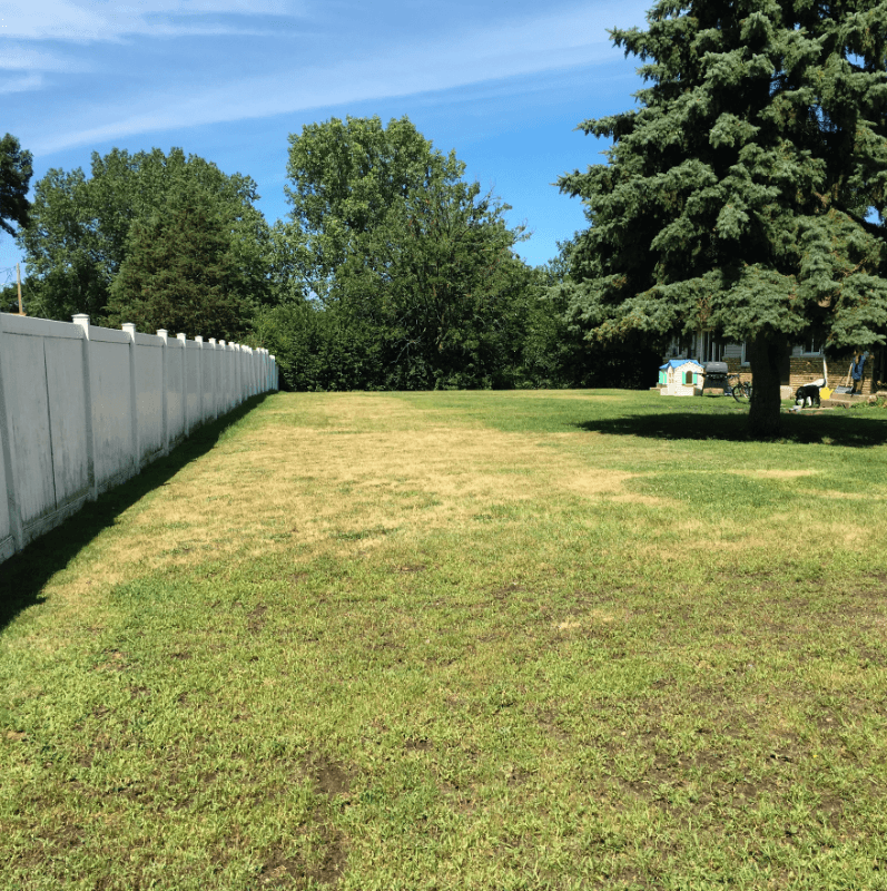 Andover Townhome: 2507 138th Ave NW