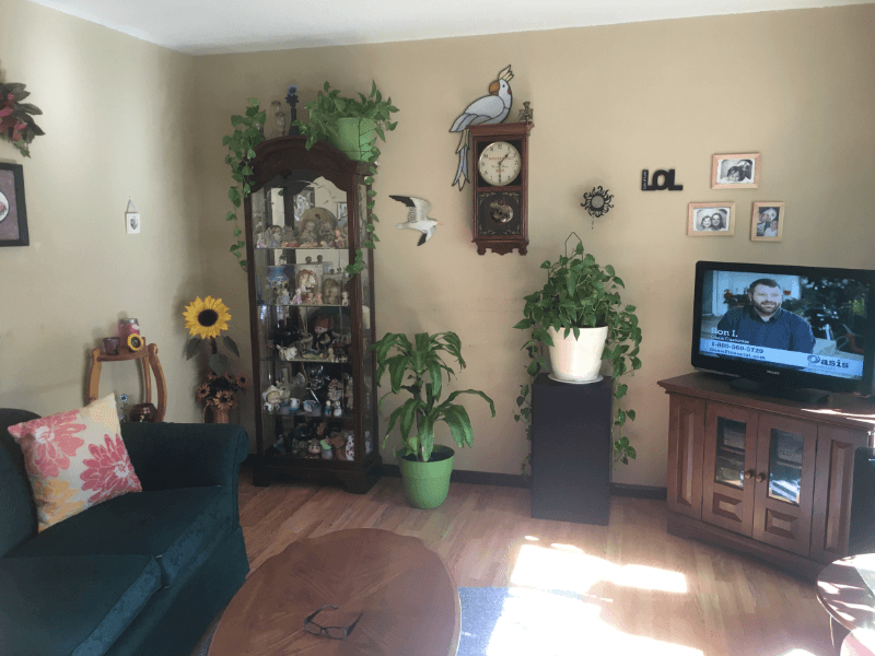 Andover Townhome: 2507 138th Ave NW