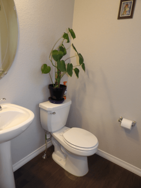Colorado Springs House: 6527 Chaplin Dr.