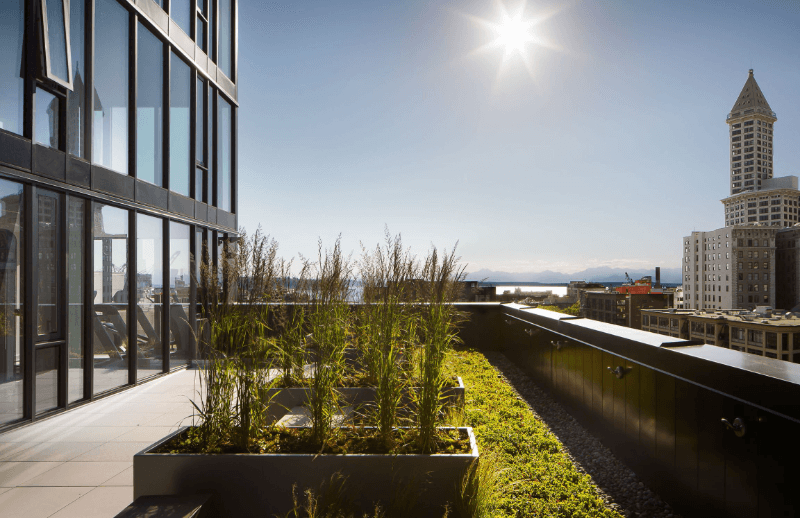 Seattle Condo: 450 South Main Street