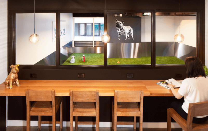 Seattle Condo: 450 South Main Street