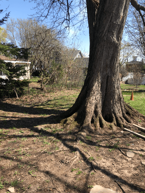 Liverpool House: 206 Balsam St
