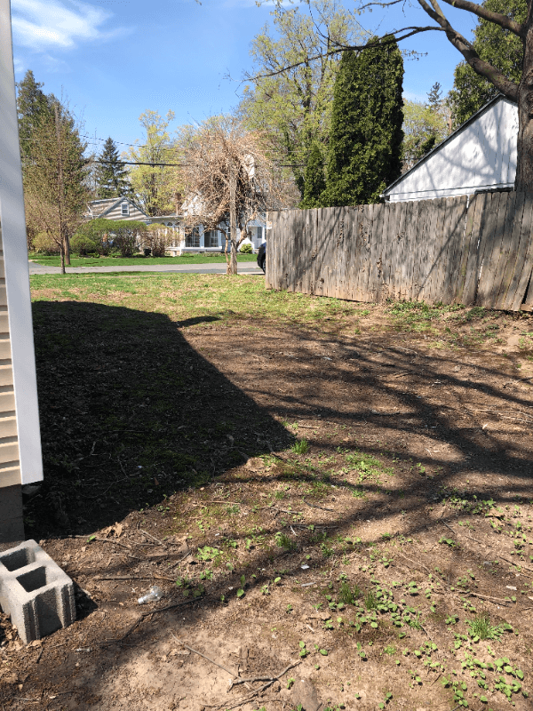 Liverpool House: 206 Balsam St