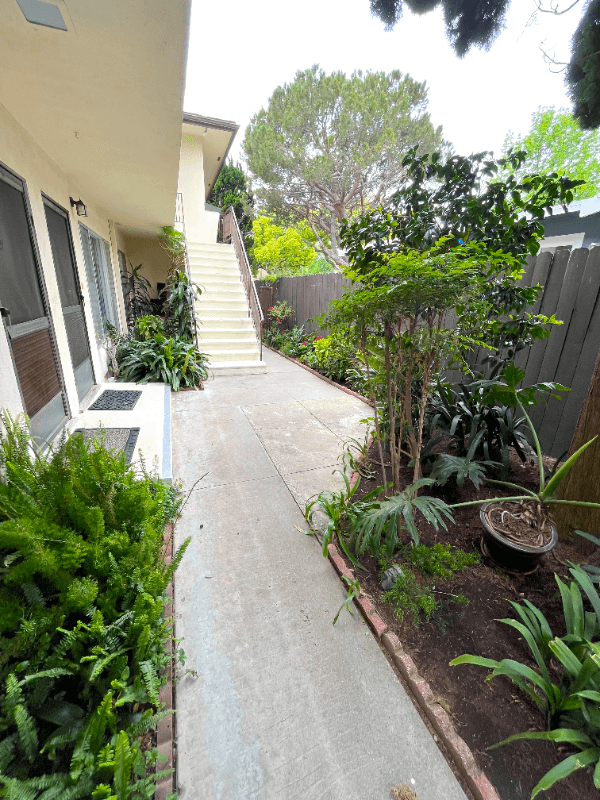 Santa Monica Apartment: 807 3rd St.