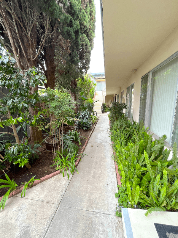 Santa Monica Apartment: 807 3rd St.