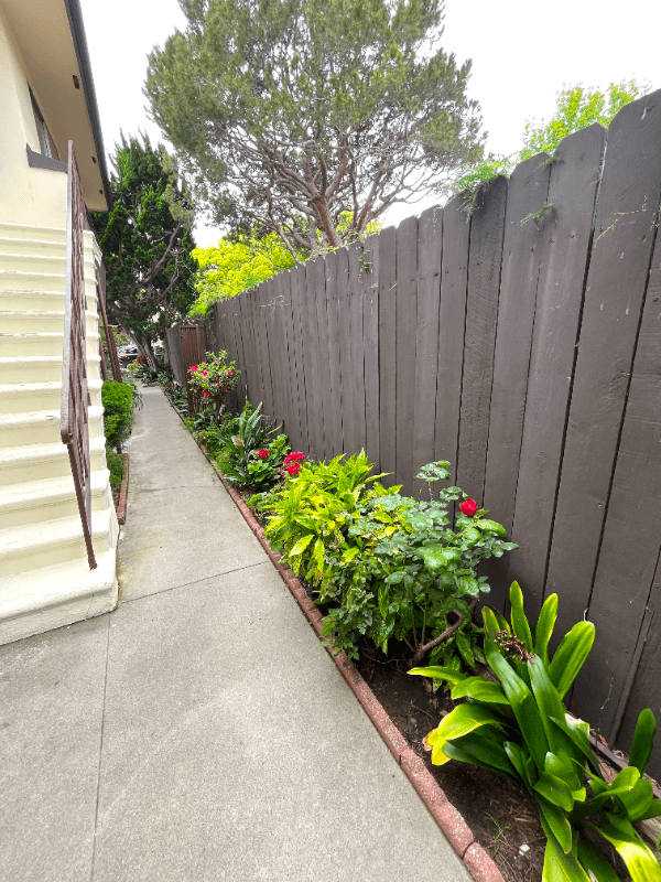 Santa Monica Apartment: 807 3rd St.