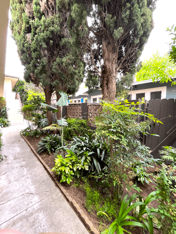 Santa Monica Apartment: 807 3rd St.