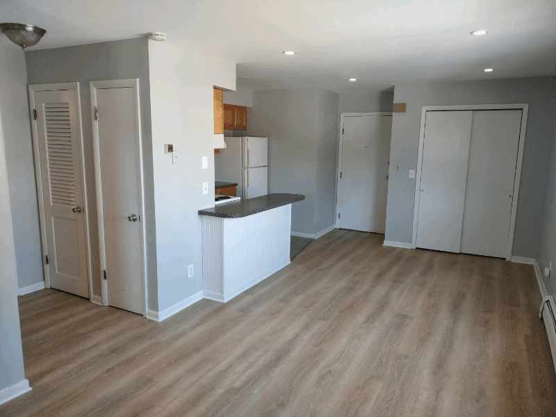 Albany Apartment: 190 Spring Street