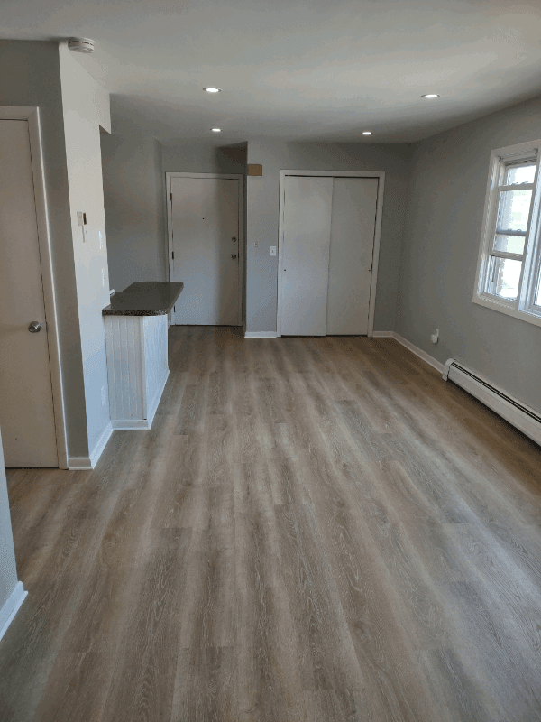 Albany Apartment: 190 Spring Street