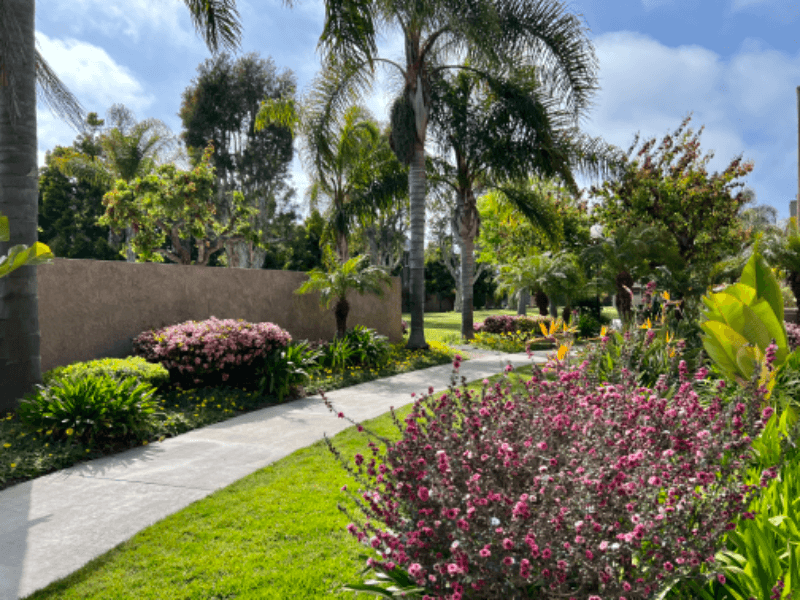 Huntington Beach Condo: 16891 Bluewater Ln