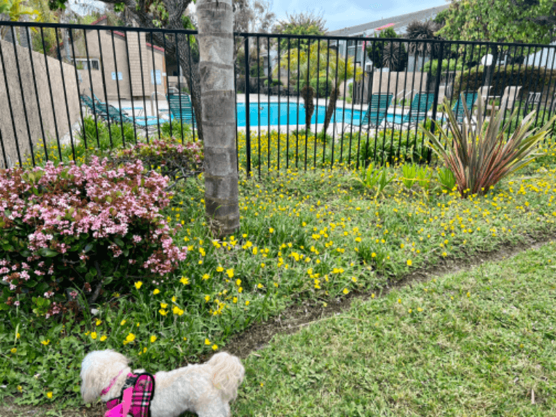 Huntington Beach Condo: 16891 Bluewater Ln