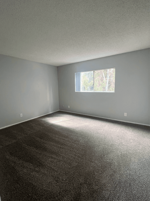 Anaheim Apartment: 212 S Ohio St