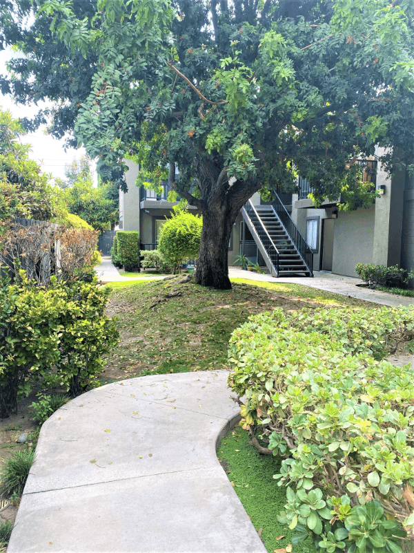 Anaheim Apartment: 212 S Ohio St