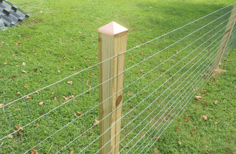 Richmond House: 1809 Doron Ln