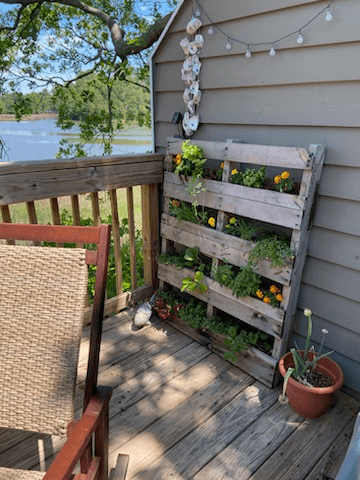 Virginia Beach House: 346 Windship Cove